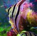 Stephen Penna - Facebook