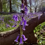 Stephen Pennell - @pennell_stephen - Instagram