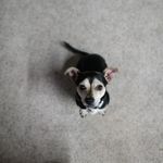 Stephen Perrine - @perrine8080 - Instagram