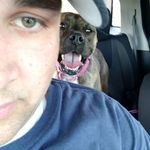 Stephen Perrine - @stephenperrine - Instagram