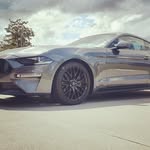 Stephen Petrie - @stephen_j_petrie - Instagram