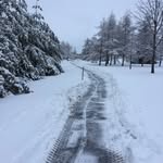 Stephen Petrie - @hobbes8888 - Instagram