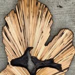 Stephen Piazza - @espystain - Instagram