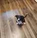 Stephen Pickard - Facebook