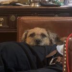 Stephen Pickering - @pickering6335 - Instagram