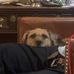 Stephen Pickering - Facebook