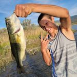 Stephen Pickering - @pickering.stephen - Instagram