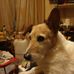 Stephen Pickett - Facebook