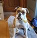Stephen Piercy - Facebook