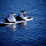 Stephen Pilon - @stephenpilon - Instagram