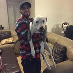 Stephen Pina - @stephen.pina - Instagram