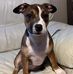 Stephen Pinney - Facebook