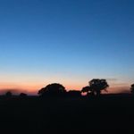 Stephen Plaster - @stephenplaster1233 - Instagram