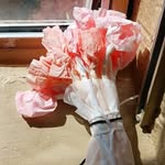 Steven Plumb - @mossstops - Instagram