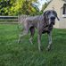 Steve Polinsky - Facebook