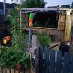 Stephen Poore - @poorestephen - Instagram