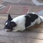Stephen Powers - @stephenpowers40 - Instagram