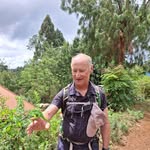 Stephen Prendergast - @stephen.is.musing - Instagram