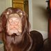 Stephen Prewitt - Facebook