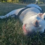 Steven Priddy - @ohso442 - Instagram