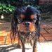Stephen Procopio - Facebook