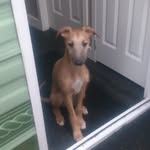 Stephen Procter - @procter.stephen - Instagram