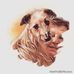 Stephen Procter - Facebook