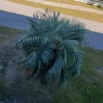 Steven Proulx - @proulx.302 - Instagram
