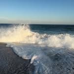 Steven Proulx - @proulxbiotic - Instagram
