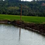 Stephen Quiñones - Facebook