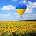 Stephen Rader - Facebook