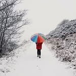 Stephen Ramsden - @stephen.ramsden.3344 - Instagram
