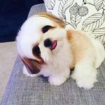 Stephen raper - @stephen_raper_ds - Instagram