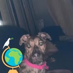 Stephen Ratcliffe - @ratcliffe6613 - Instagram