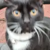 Stephen Ratcliffe - @stephen.ratcliffe17 - TikTok