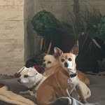 Steven Reimer - @sre7776404 - Instagram