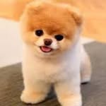 Steven Reimer - @reimer_steven - Instagram