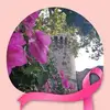 Steph Renaud Les Filles - @steph.renaud.les - TikTok