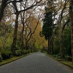 Stephen Rendon - @rendons2024 - Instagram