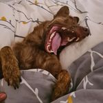 Steven Renner - @trainsday - Instagram