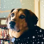 Stephen Rich - @stephen.rich.73 - Instagram