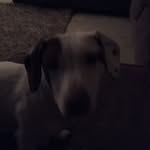 Stephen_rickman - @stephen_rickman - Instagram