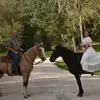 Stephen Ricks - @stephenpresidentelect - TikTok