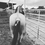 Stephen Ricks - @stephen.ricks.37 - Instagram