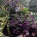 Stephen Rigdon - Facebook