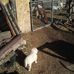 Stephen Rine - Facebook