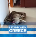 Stephen Ripley - Facebook