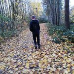 Stephen Ripley - @doink1974 - Instagram