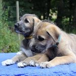 Stephen L Ritchie - @stephenlritchie - Instagram