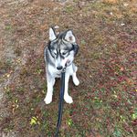 Stephen Rivard - @stephenboii42 - Instagram